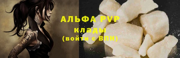 ешки Богданович