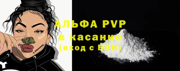 ешки Богданович