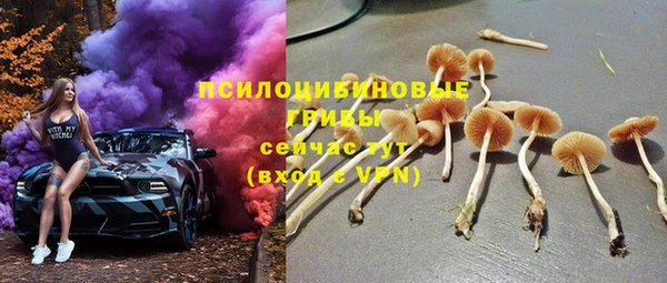 МДМА Богородицк