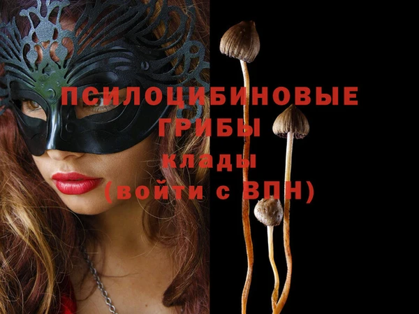 стафф Беломорск